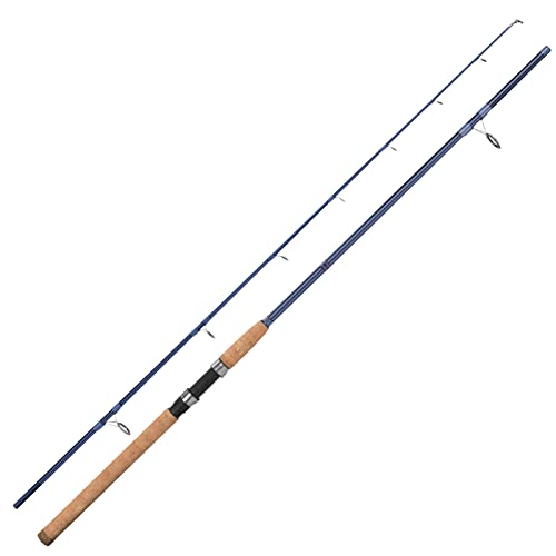 Best 2 Piece Spinning Rods