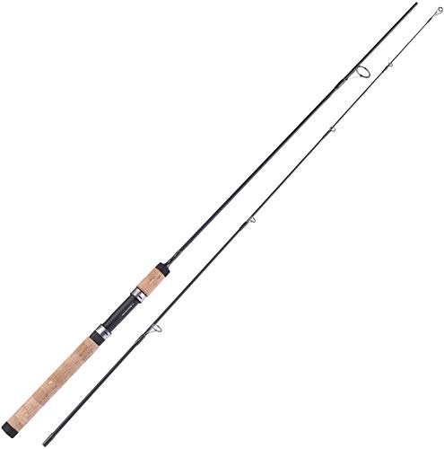 Best Bargain Fishing Rods