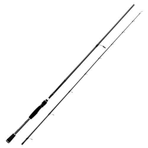 Best Budget Spinning Rod