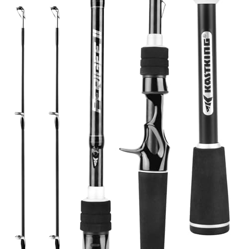 Best Cast Fishing Rod