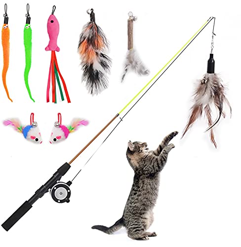 Best Cat Fishing Rod