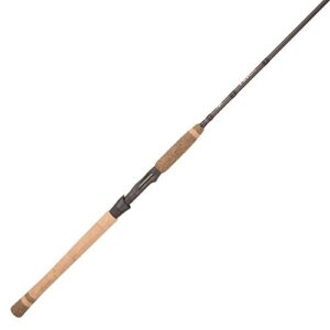 Fenwick Ocean Rods Best Fenwick Saltwater Rod: Top Picks for Ultimate Fishing Experience ...