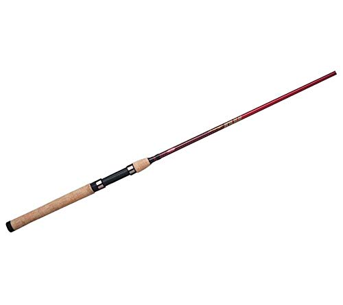 Best Fishing Rod for Bass