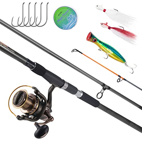 Best Fishing Rod for Beach Fishing