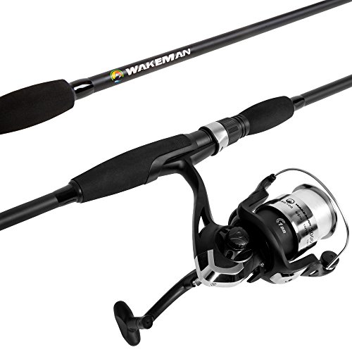 Best Fishing Rod for Lake Fishing