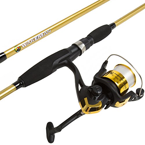 Best Fishing Rods Bass