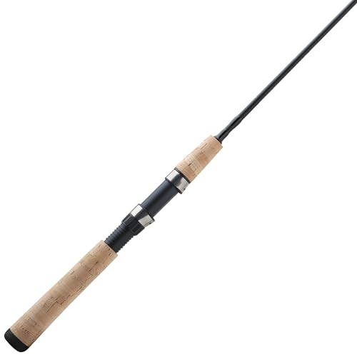 Best Inexpensive Fishing Rod