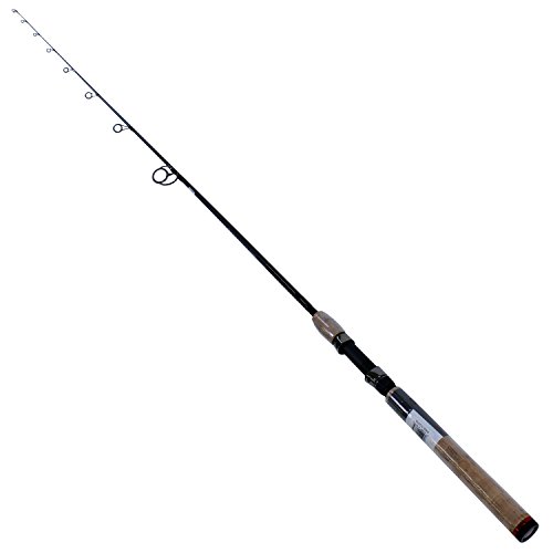 Best Inshore Fishing Rods