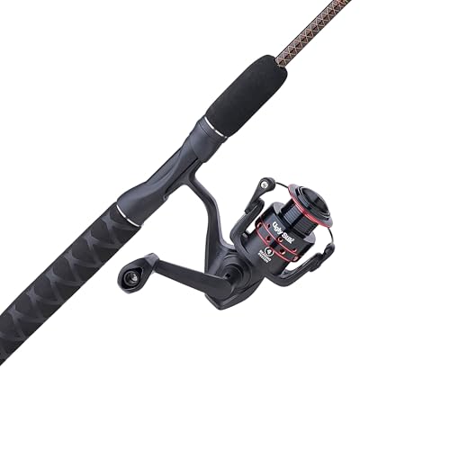 Best Rod And Reel Combo for the Money