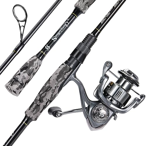 Best Rod And Reel for Bass Fishing