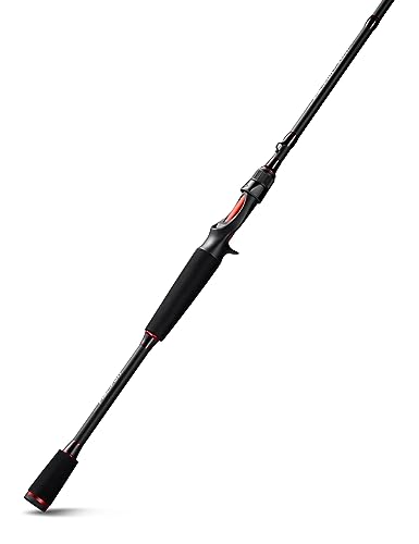 Best Rod for a Baitcaster