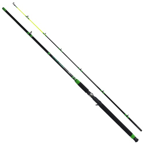 Best Rod for Catfishing