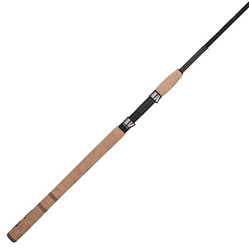 Best Rod for Salmon Fishing