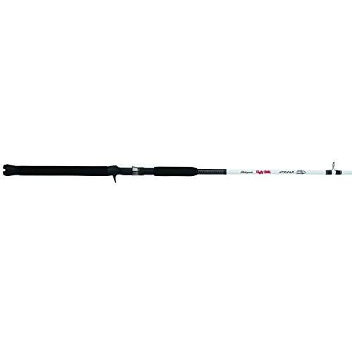 Best Rod for Striper Fishing