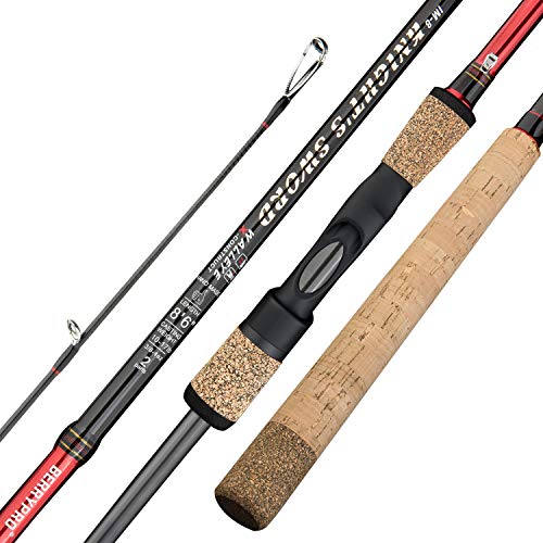 Best Salmon Fishing Rod