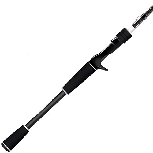 Best Saltwater Casting Rods