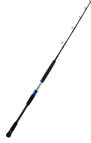 Best Saltwater Jigging Rods for Heavy-Duty Fishing Adventures