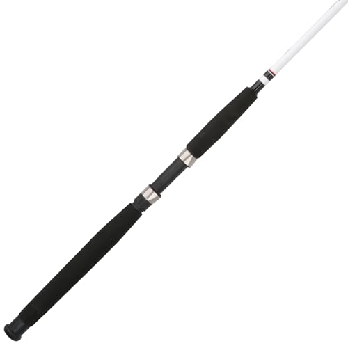 Best Saltwater Spinning Rods for Every Angler’s Needs