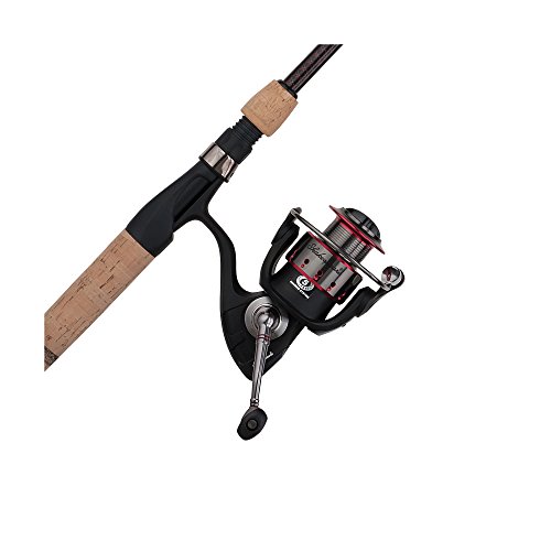 Best Spinning Rod And Reel Combo